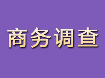 鄂托克旗商务调查